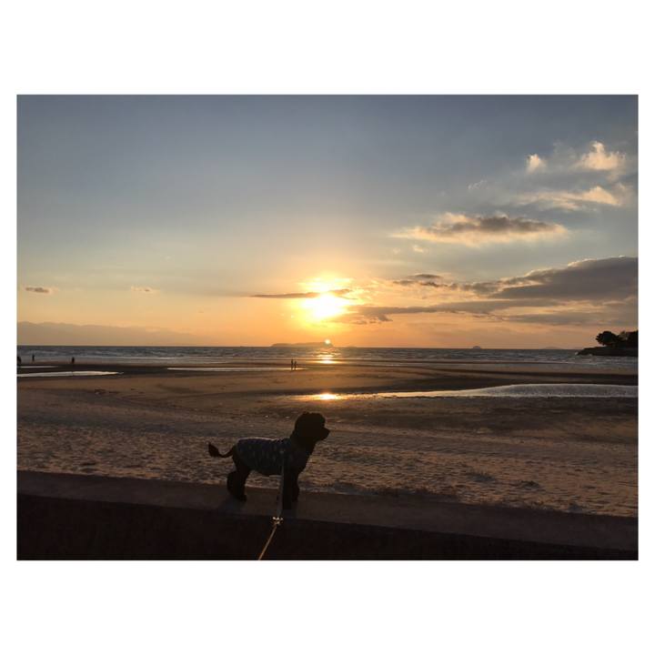 679d07e2 c25c 4eb4 b789 06b0ee2c0b64 1547713310373