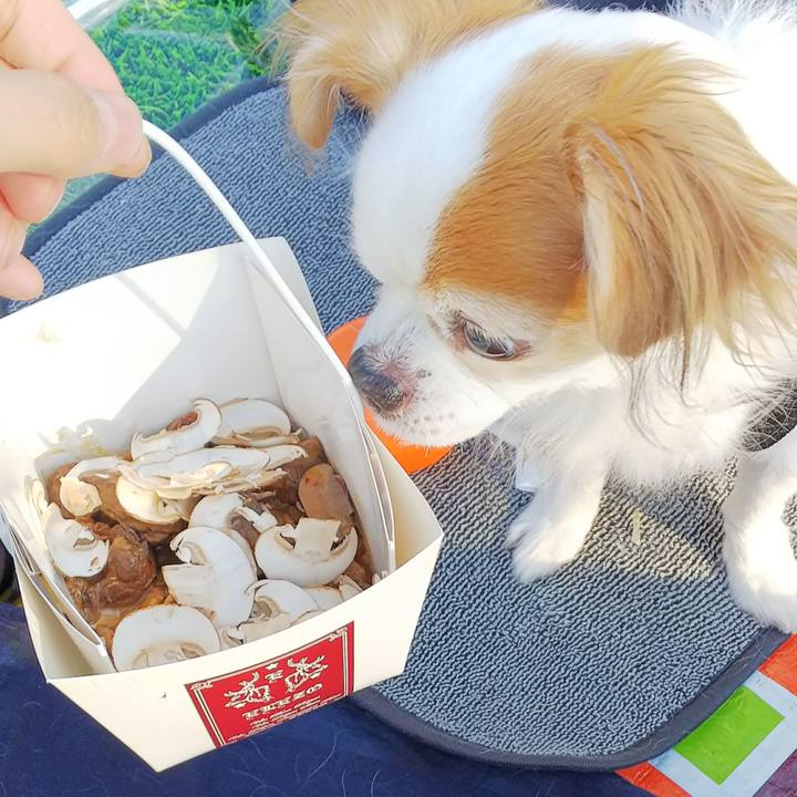 679d16f7 0e61 4ebe 8c08 521602b27746 1536998300809