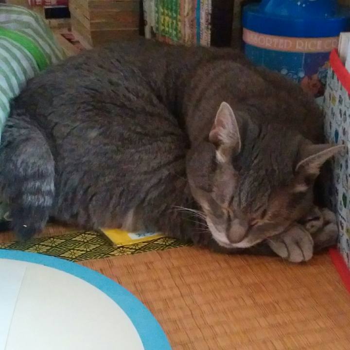 679d2724 7469 48c6 826b 65e38a48491b 1531704269954