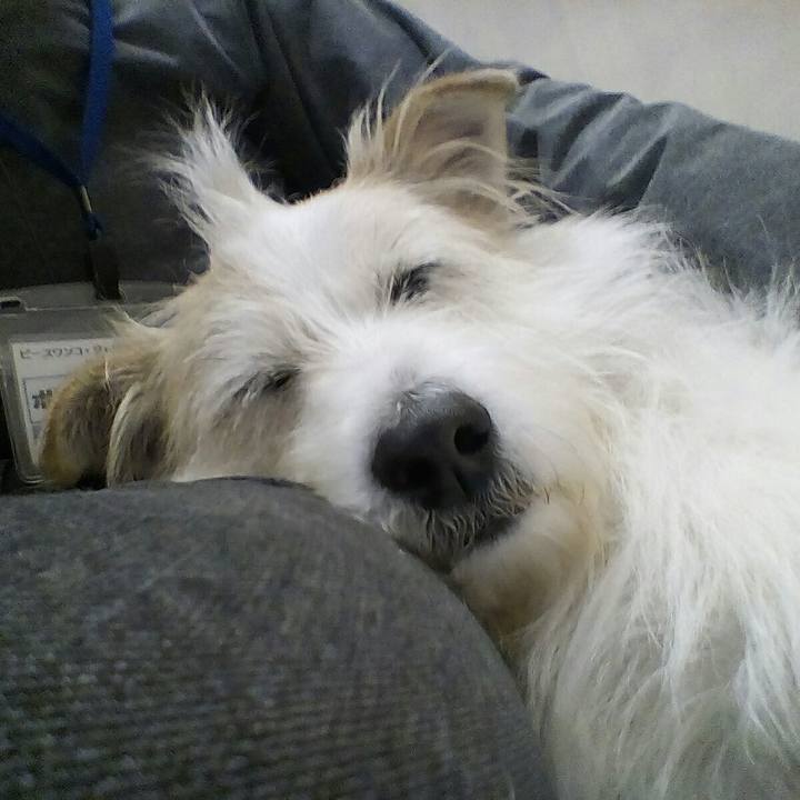 679d3f09 ebe3 4b5c bb24 8b9a80a257fc 1521619282633