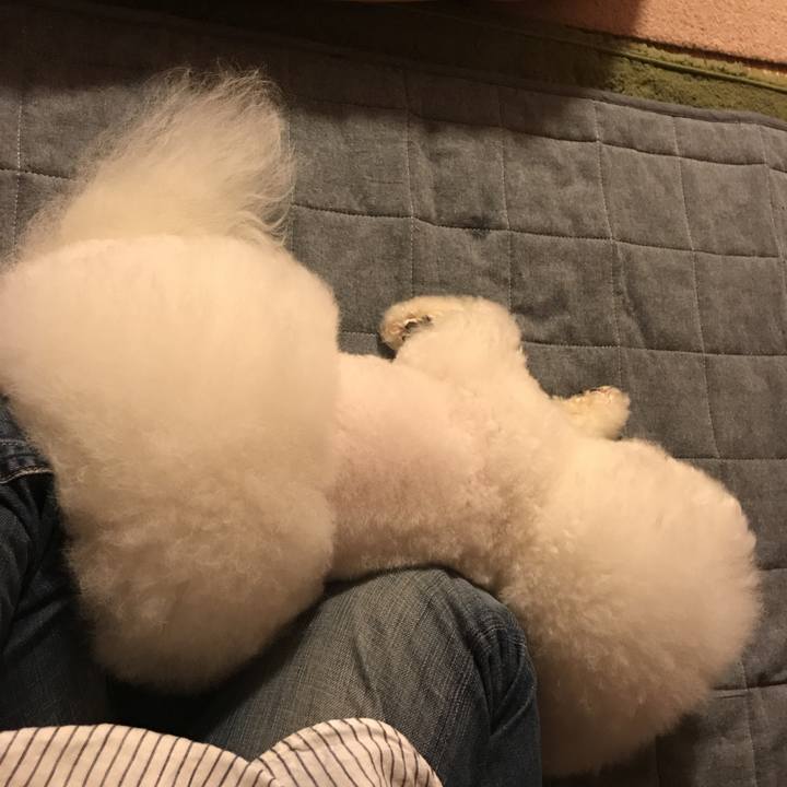 679d4176 5230 4db8 8d60 832e88d21b8e 1535195796577