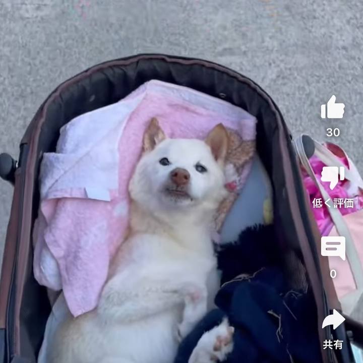 679d903c 5807 4fb3 a4c9 cddf026ddff6 1679286333826