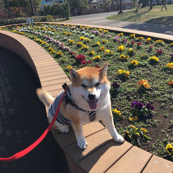 679d9be1 ae80 4a80 afe8 035412bf4141 1580364186714