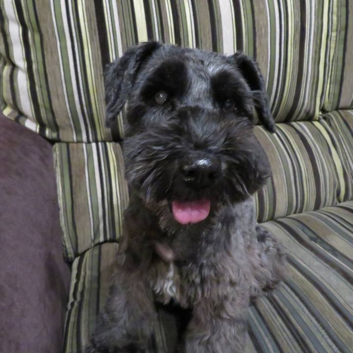 679da222 8c59 4cc8 abc4 6a80bf820021 1602396686241