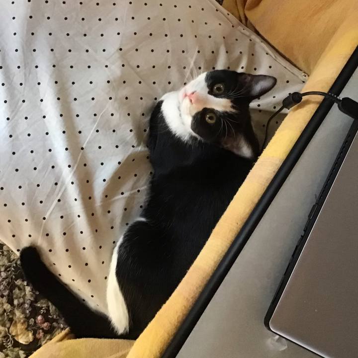 679dedef 329a 4076 9e49 d6acf090fbbd 1638258363596