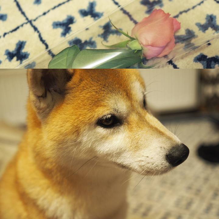 679defa6 f1b0 464b 999b 072aab2a6f7f 1533641722484