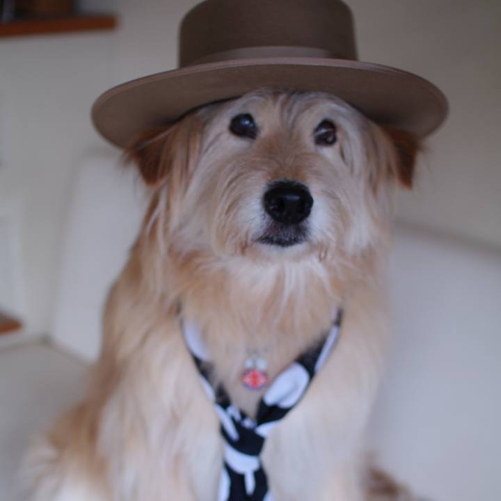 679e0ab7 cf3e 4e43 80b9 17fae1311ea3 1714713426605