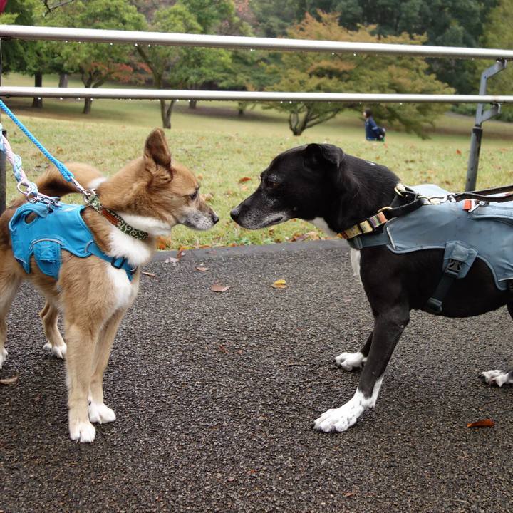 679e5639 6dd3 458b 8822 17ac6cd9932e 1731287696244