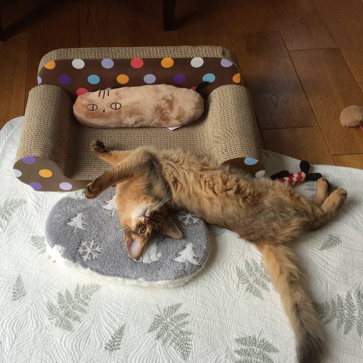 679e97df 4f0f 4612 8a65 44bb5ea91b43 1574041044879