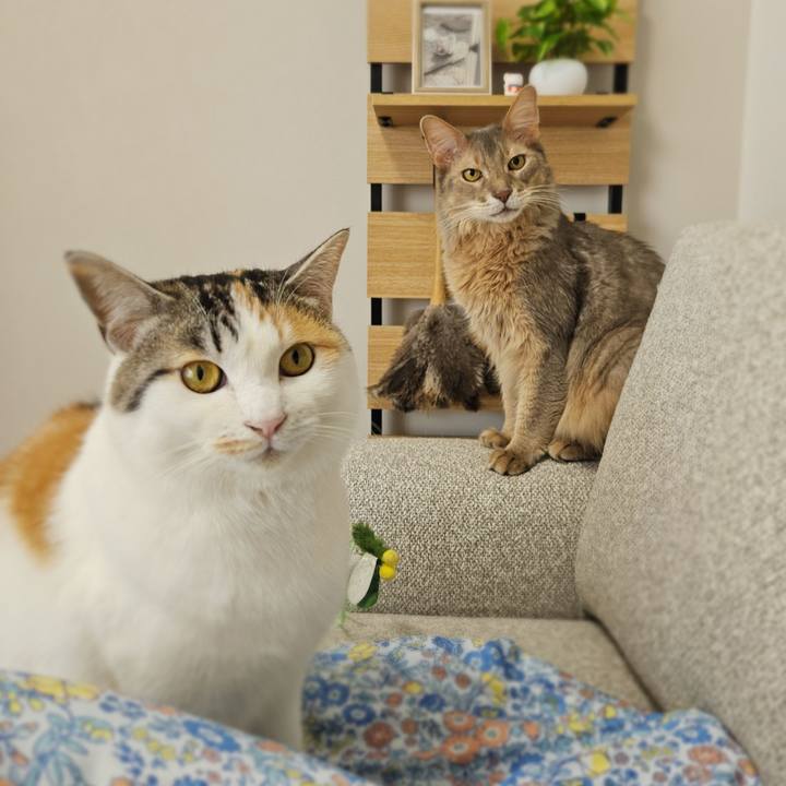 679eb0a5 03fb 44a0 881d 3b35f53b02de 1771578630370