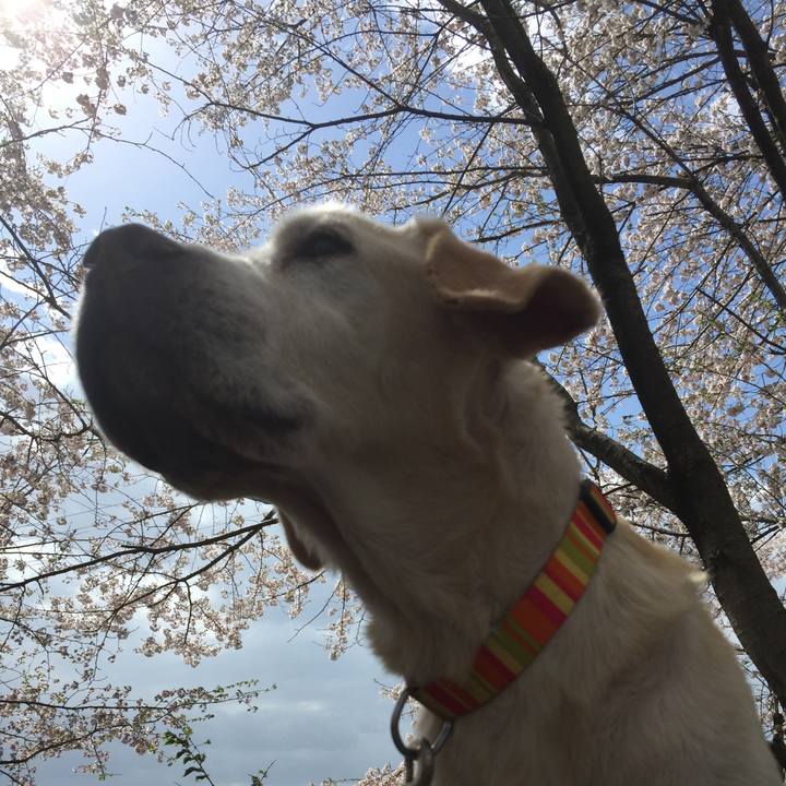 679ecbd3 f0ca 4e88 8a2d 94f706c0f156 1549905500496