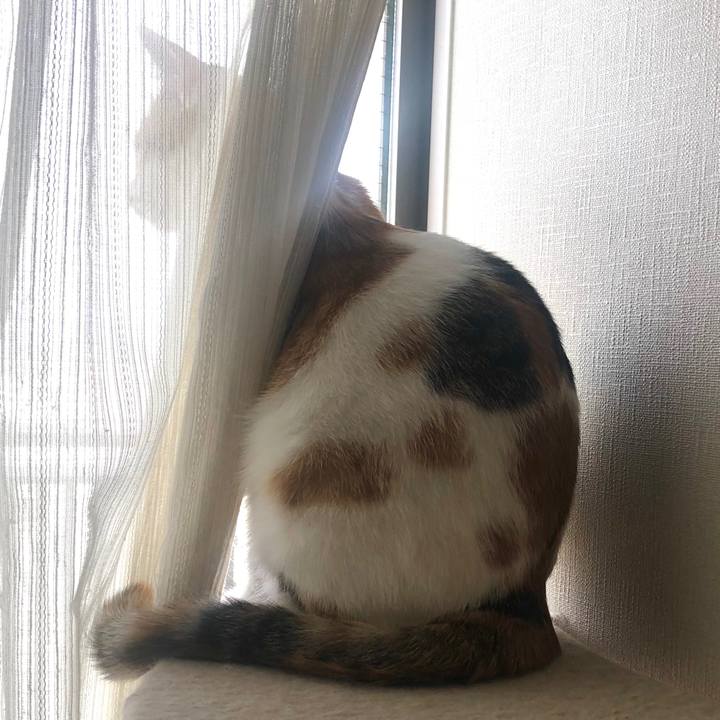 679f3494 818a 4e67 a1af 6f4549a41c3d 1586216287298