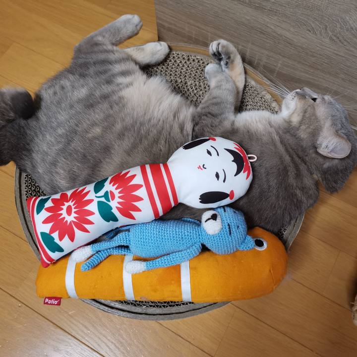 679f3867 4032 4967 bedf 990b5f70e217 1608782593154