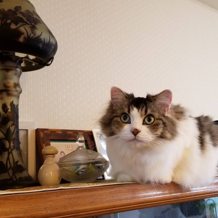 679f768b 472b 4fa5 b439 60d1399fdd2f 1566429432409