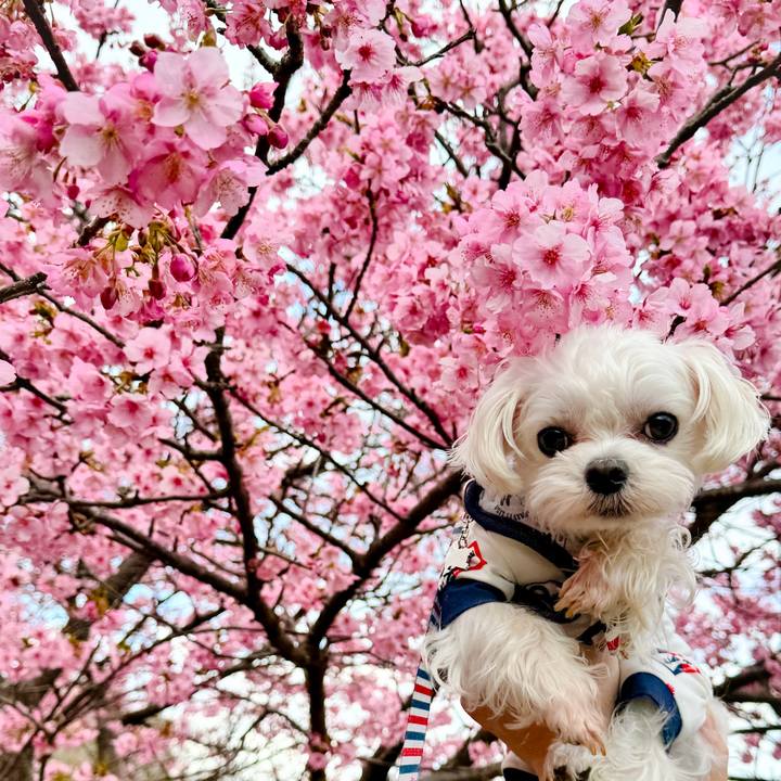 679f7c0f 2c3b 42ce a81e a06aed1514b6 1708252698966