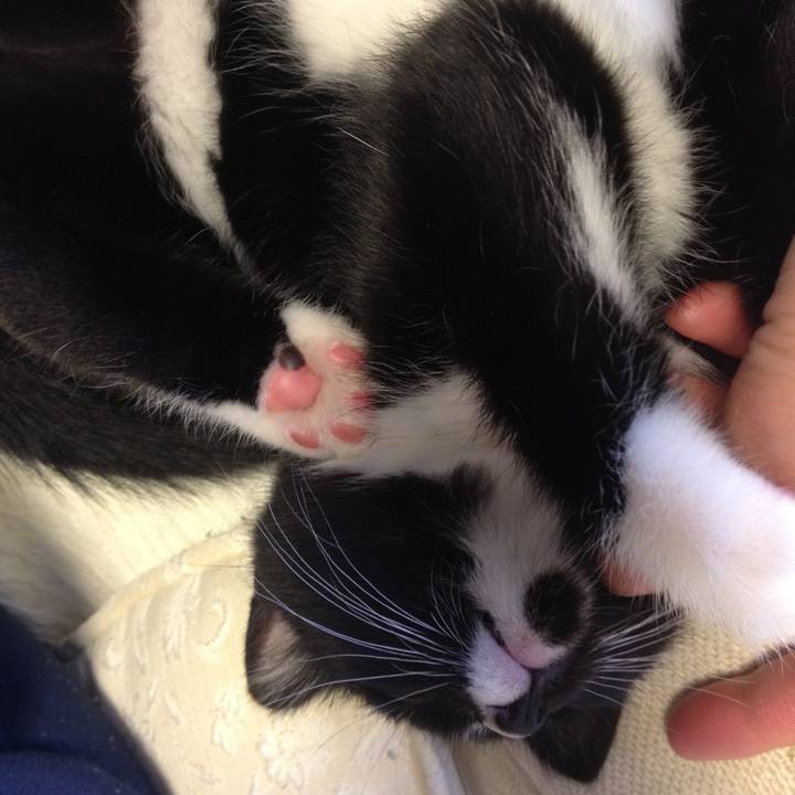 679f89dd b5e5 4c2f 8154 e0e082c6ce49 1573355436482