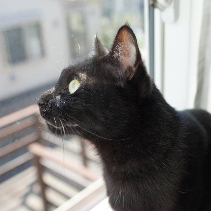 679f8c42 6e3d 46ff 9a68 ca5acec3d54a 1582967585722