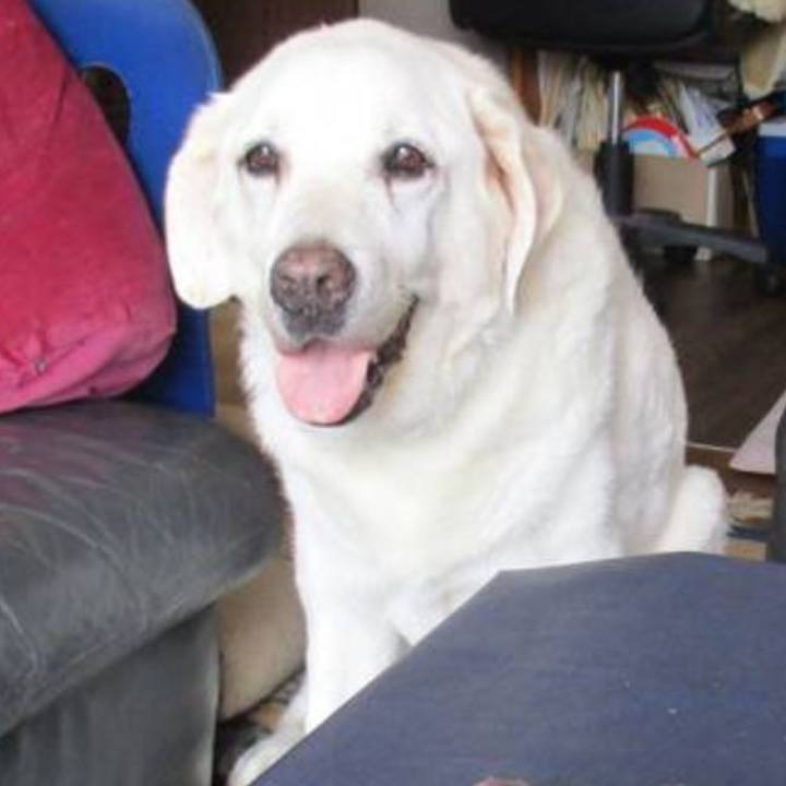 679fa0b0 f8d4 45ec 8970 4575a9ba0eac 1602847689597