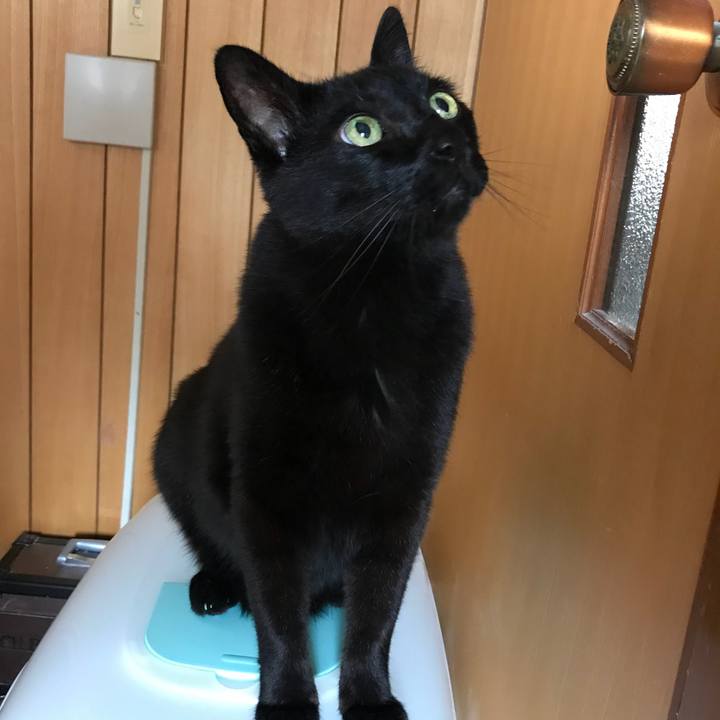 679fb835 1675 40cd bed0 c6bb93f63166 1527557171711