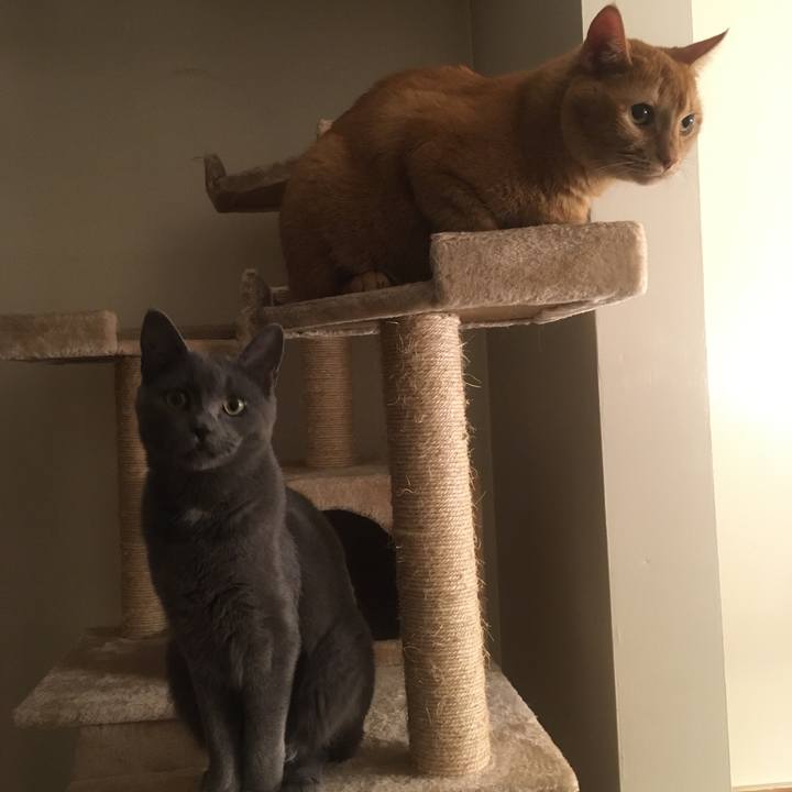 679fe733 dc88 4288 a1a3 8652d0d2356a 1632962713131