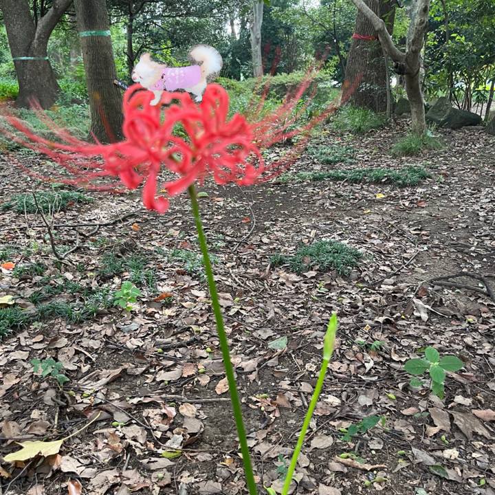 679ffae6 a142 446d 9298 8f044cbdd2da 1726922519471