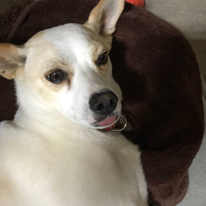 679ffc35 3289 4a3a 879d 4f15851adda5 1536723760651