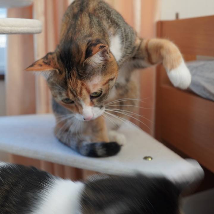 67a01613 a97c 477b b355 f01f6859e59a 1608992311587