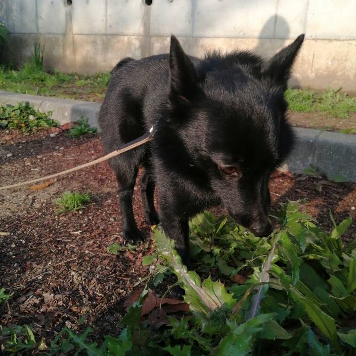 67a027b5 6efc 4c04 9b3a f4f5780131e7 1616710271636