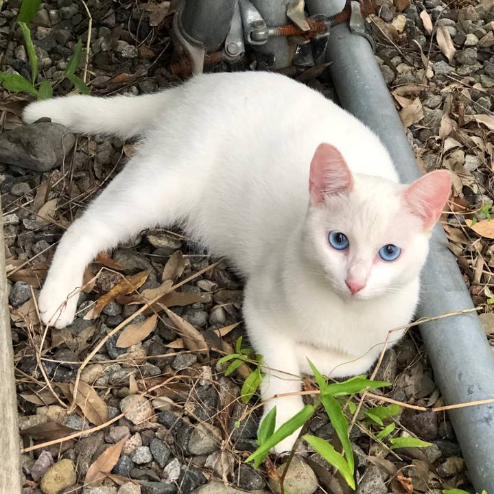 67a04964 17ec 4e10 8b83 beb2eff8abc5 1598865619977