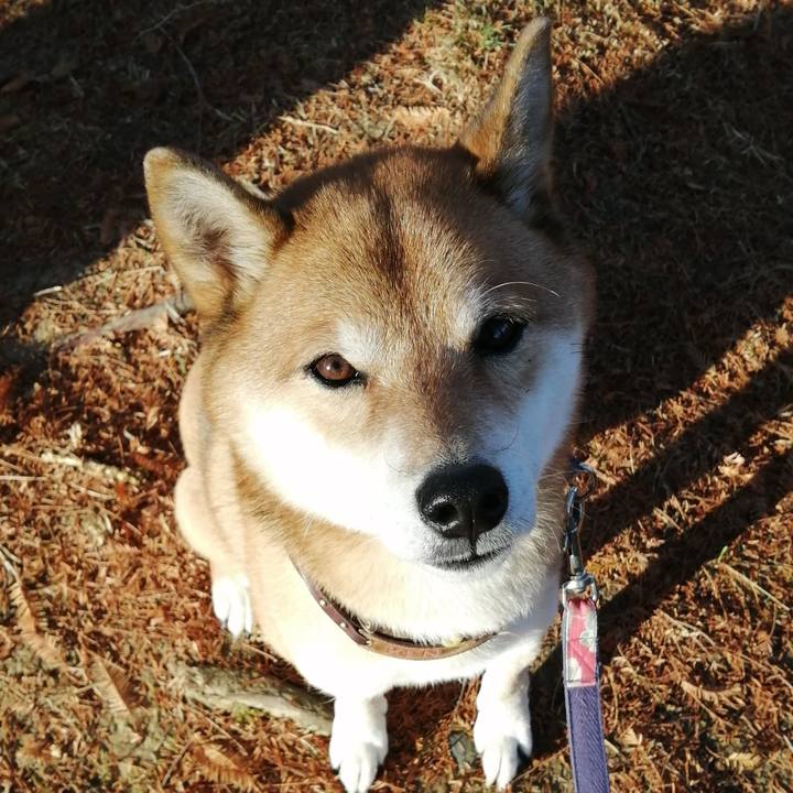 67a0a536 fe6b 4745 9b20 3c3f3016f2a8 1607384528462