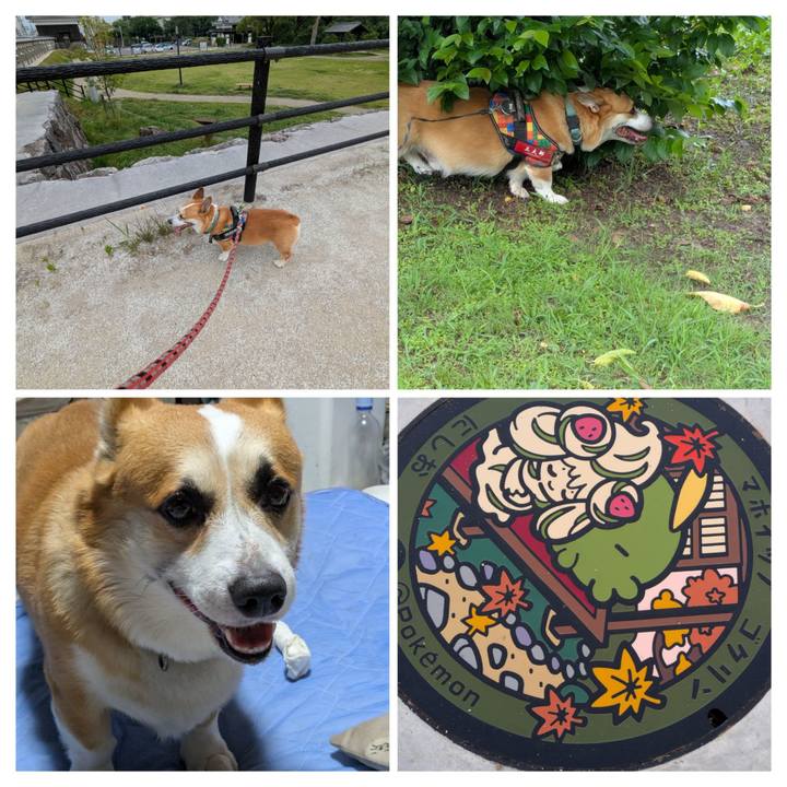 67a0e104 bb5f 49e3 85d8 7244b22145a8 1753266450787