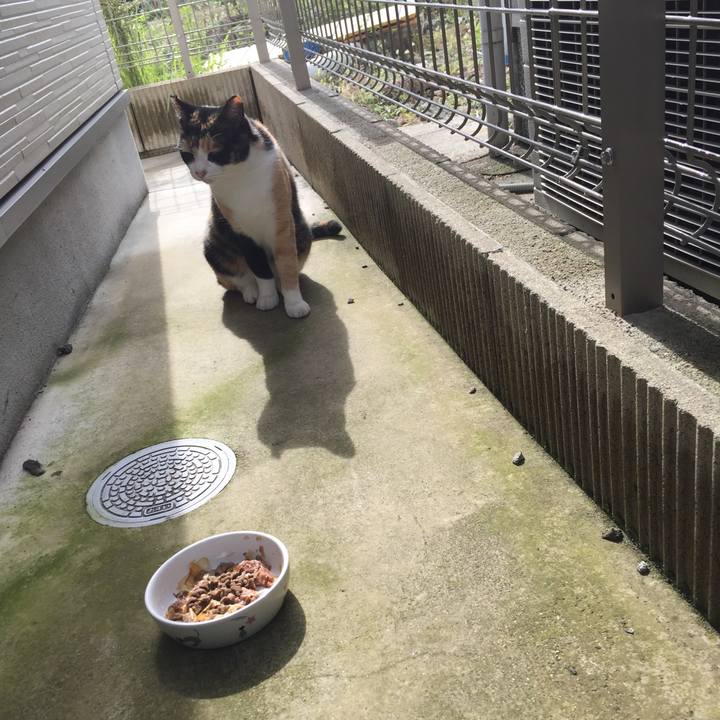 67a1106a 3a9c 46dd 9f53 a8e6e7124dd3 1508316688448