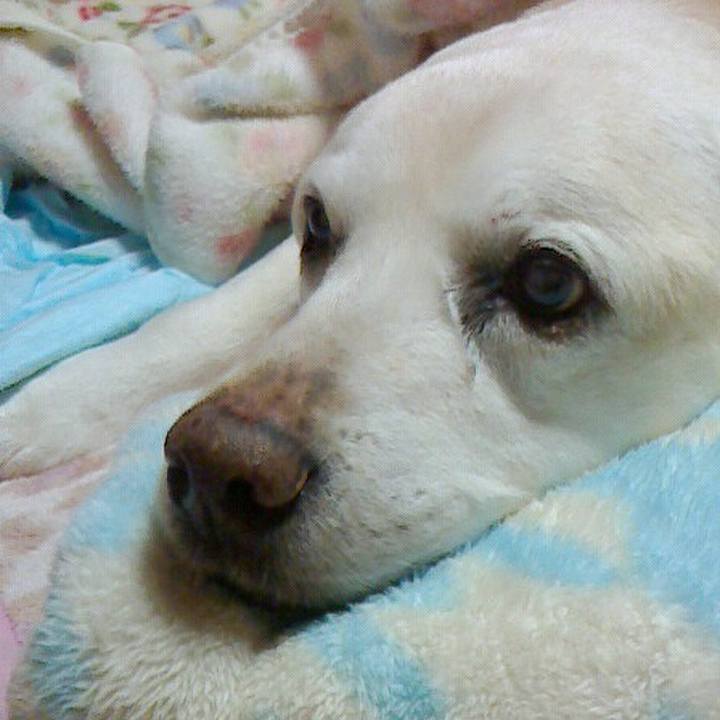 67a19c3d 0ee2 4e1e bd18 6e7aa26f14d4 1570692439632