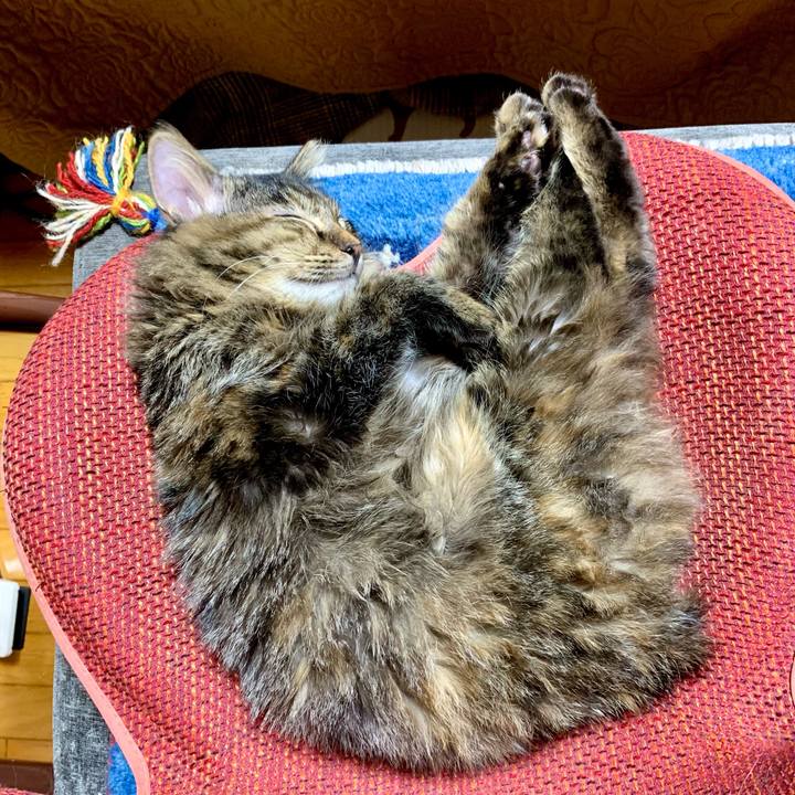 67a19f9a 937e 4bb5 9e30 744b1b5a0e85 1642593968255