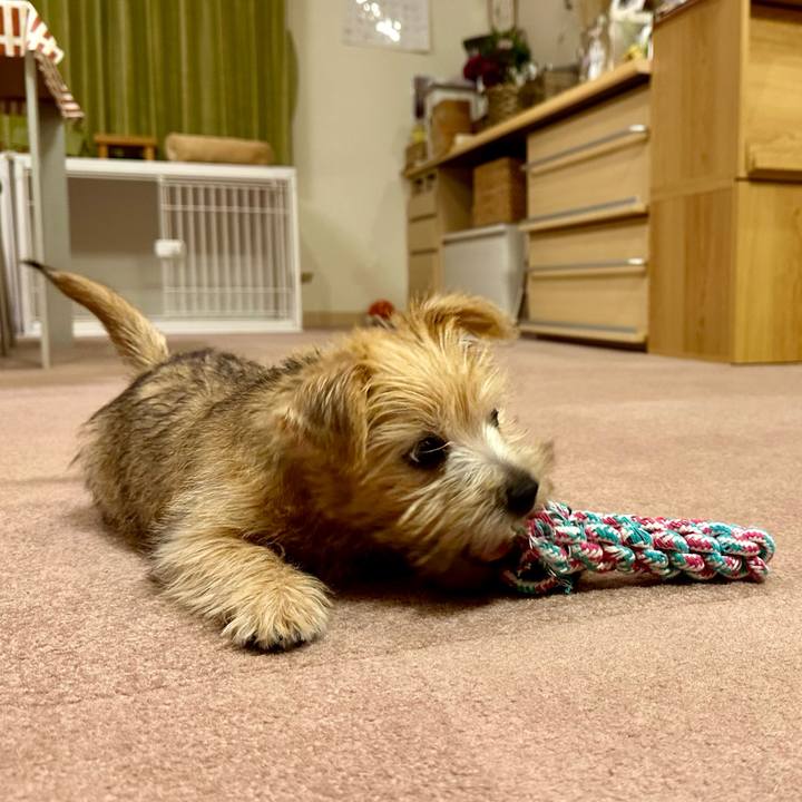 67a1c250 dabb 43f7 b4f0 4b6b111ef0c4 1701805455394