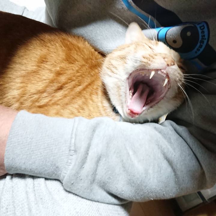 67a1d893 d564 48c6 b5d7 7c38fb919155 1606940674223