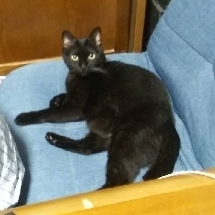 67a1e1f3 be8e 49fb 9a8d d276af2dfb7e 1629375965324