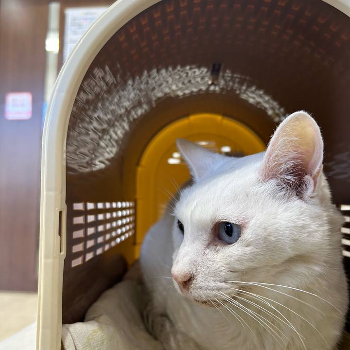 67a1f667 fc8f 4162 86e5 f27897cf77d6 1703292179866