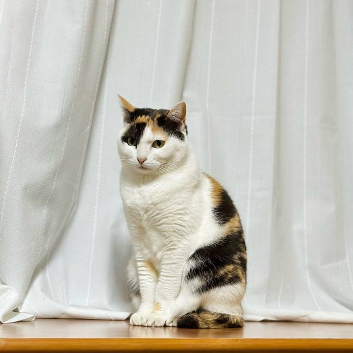 67a2018d 7063 46a3 acbb d6e5ab752038 1673571697541