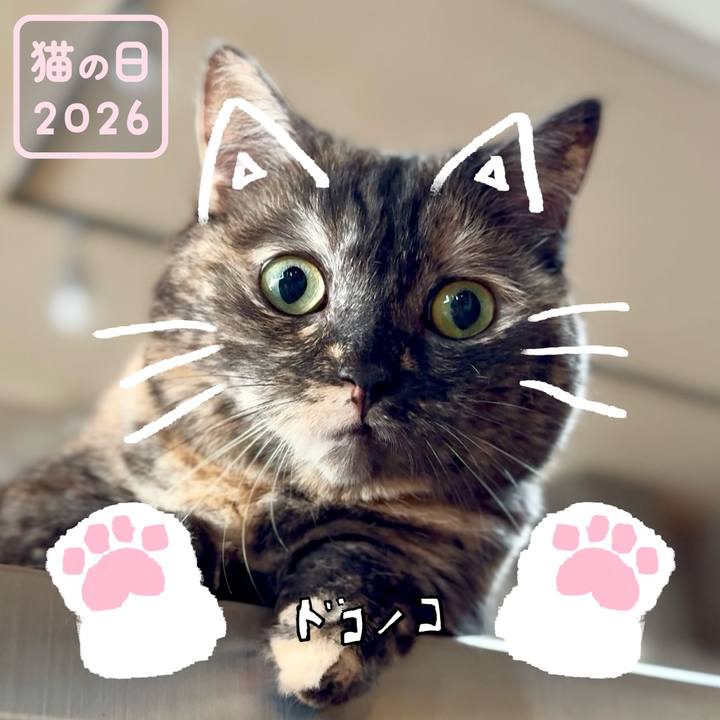 67a234b4 2baa 4bff 831b 567ee2455f14 1771762356565