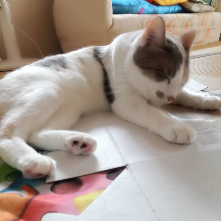 67a23b70 1cdd 49d5 87e6 e908d9e1c58a 1541643711912