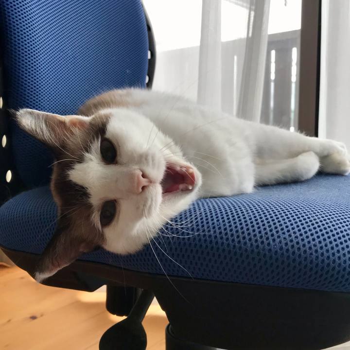 67a24212 c986 40c1 be1f 3c5e86e503a6 1630915449573