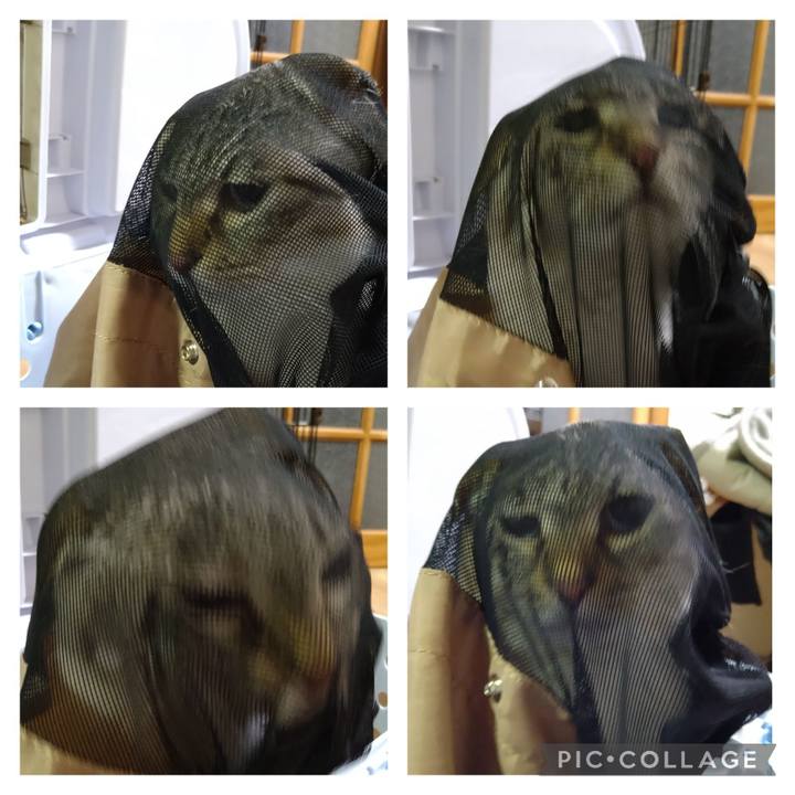 67a24bea 1986 47b7 8484 972fe1fdb3a8 1650107236287