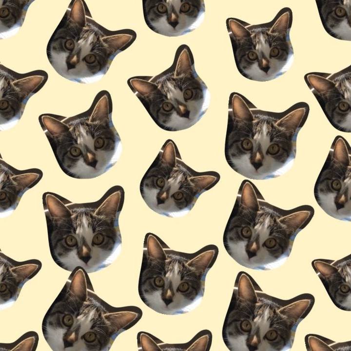 67a25966 5056 4df6 bab2 05577a00322e 1602546800281