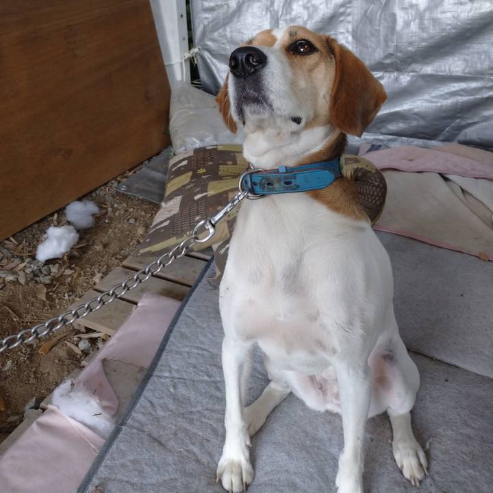 67a26df5 c50d 4352 a9ba 9168760d3db7 1603858365059