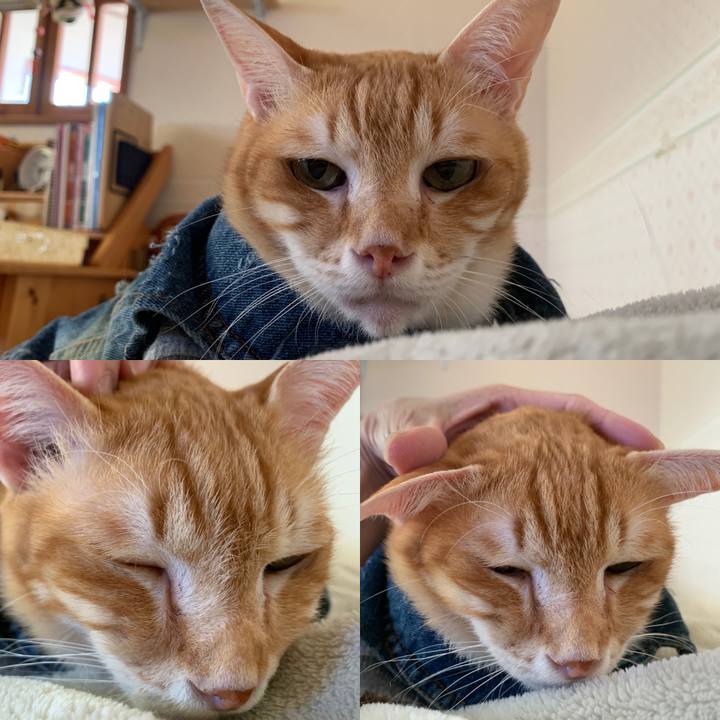 67a2a9ab df71 4712 9cb9 5a5774fa6dd1 1648877574815