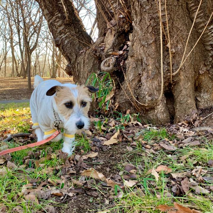 67a2af2e 7e4f 47c3 bdfd 6d8ae36a3f14 1612339404453