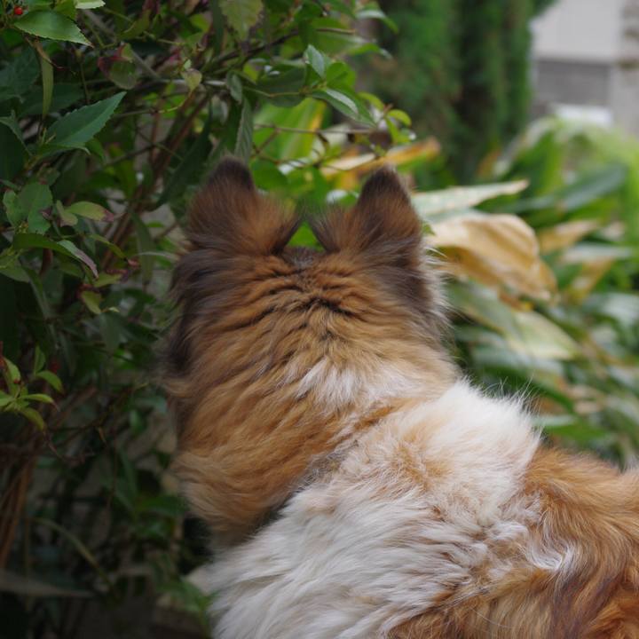 67a2b276 86e9 4bb0 872b 42727570438e 1522911161219