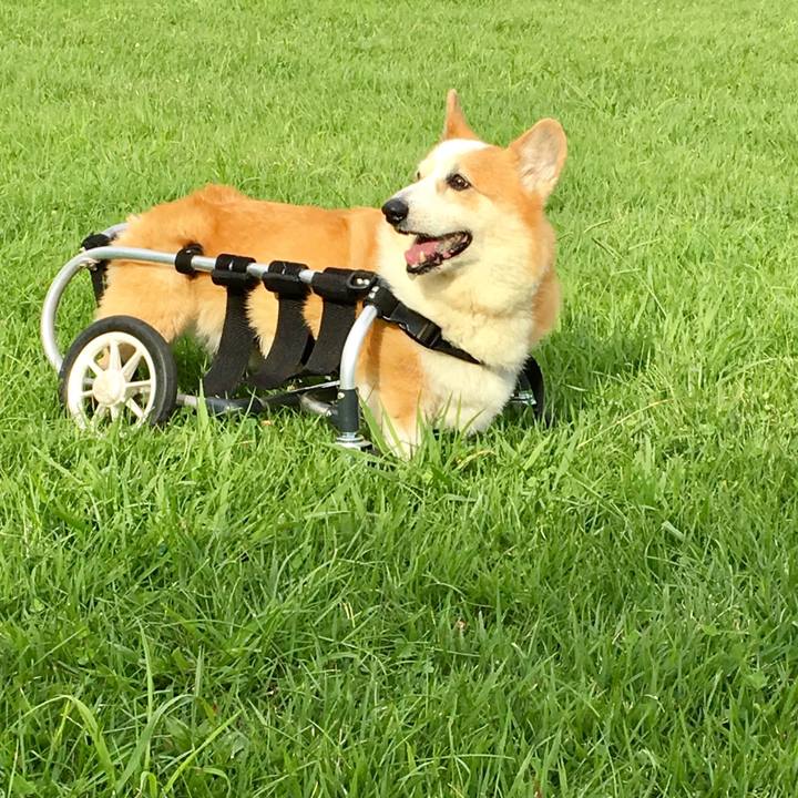 67a2c67a 3d9c 4b72 9bde de47ad5cbcc2 1534902357193