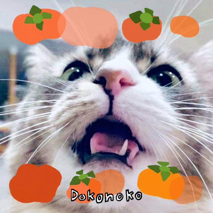 67a32813 30f5 49ad af7c 3ec4c652bb6e 1761316160576